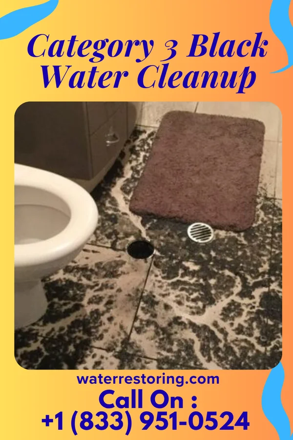 Category 3 Black Water Cleanup in Brewster Hill, NY