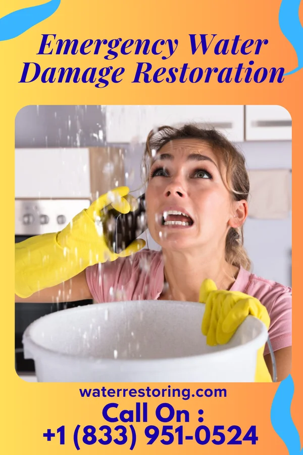Emergency Water Damage Restoration in Brewster Hill, NY