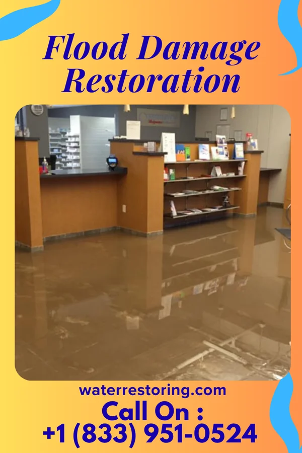Flood Damage Restoration in Brewster Hill, NY