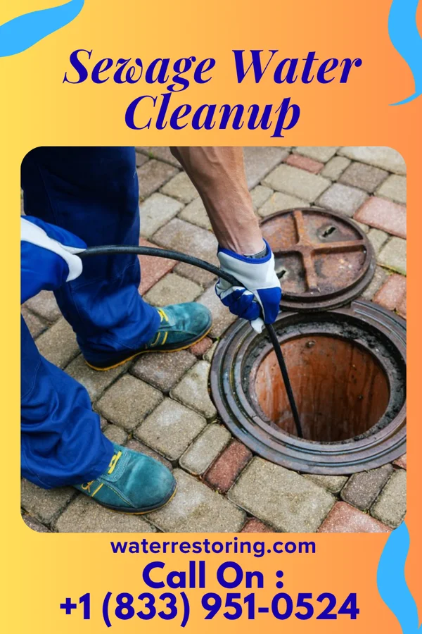 Sewage Water Cleanup in Brewster Hill, NY